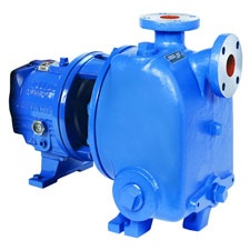 Goulds 3796 i-FRAME Self Priming Process Pump